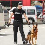 Στατική φύλαξη ή κινητή περιπολία; Ποια λύση ταιριάζει στον χώρο σας; | Lsc services