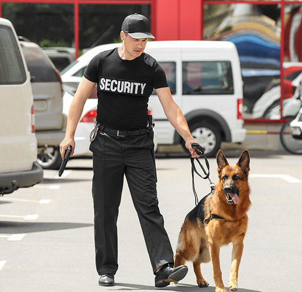 Στατική φύλαξη ή κινητή περιπολία; Ποια λύση ταιριάζει στον χώρο σας; | Lsc services